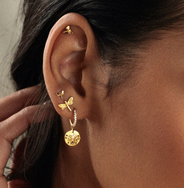 Catherine Zoraida Gold Sand Dollar Hoop Earrings