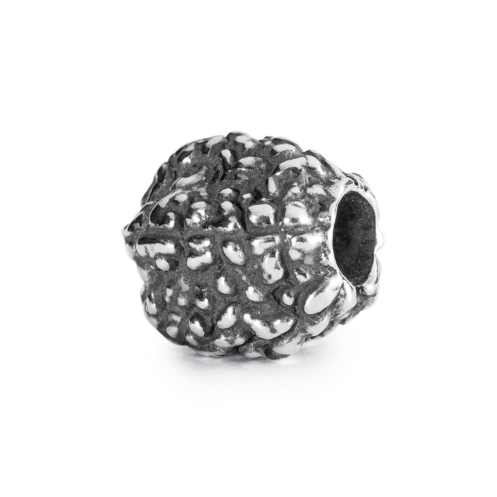 Trollbeads Tears of Shiva Bead Limited Edition
