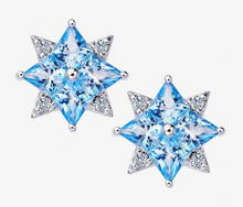 Load image into Gallery viewer, Fei Liu Star of Love Earrings
