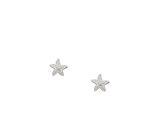 Catherine Zoraida Silver Starfish Studs