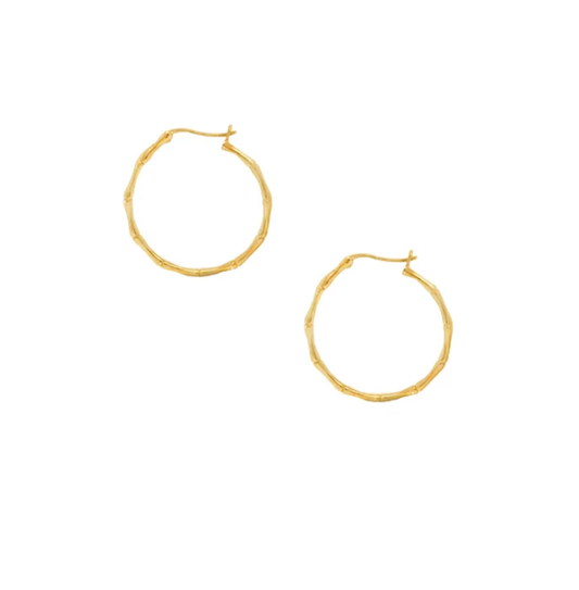 Catherine Zoraida Gold Bamboo Hoop Earrings