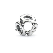 Load image into Gallery viewer, Trollbeads Social Circle Bead
